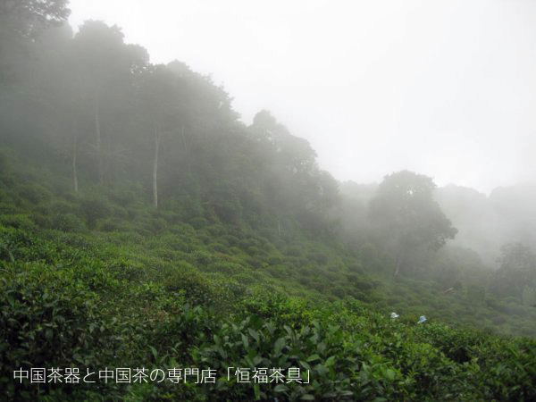 中国茶器と中国茶の専門店「恒福茶具」所有