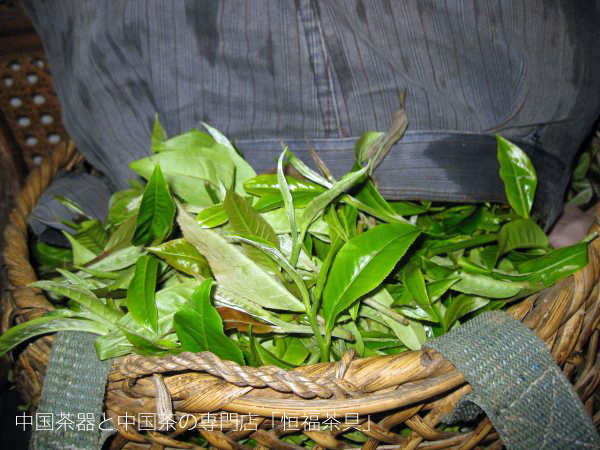 中国茶器と中国茶の専門店「恒福茶具」所有