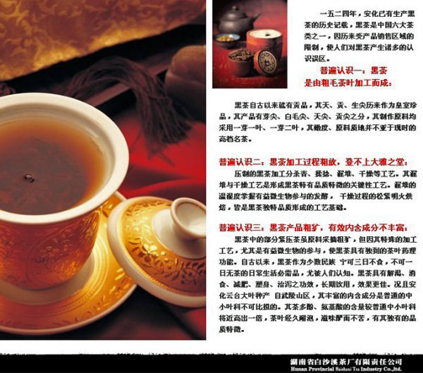 湖南省の黒茶（白沙渓）